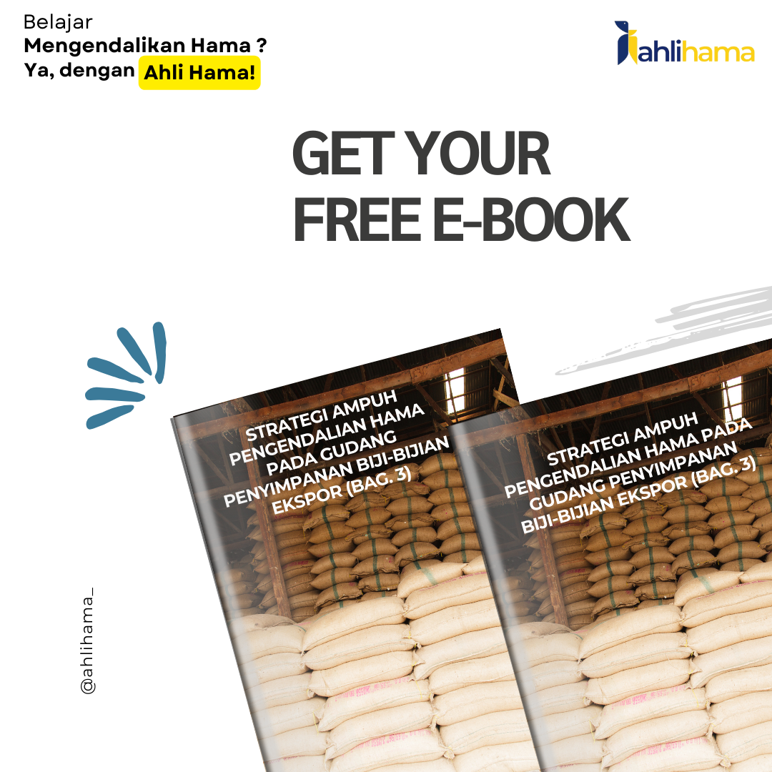 Strategi Ampuh Pengendalian Hama Pada Gudang Penyimpanan Bbiji-Bijian Ekspor (Bag. 3)