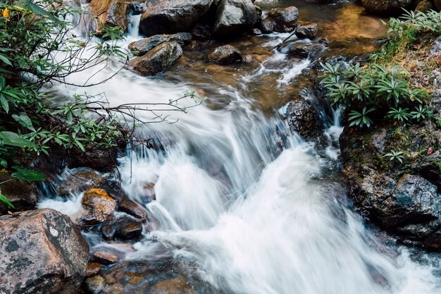 Perairan yang Mengalir (Flowing Waters)